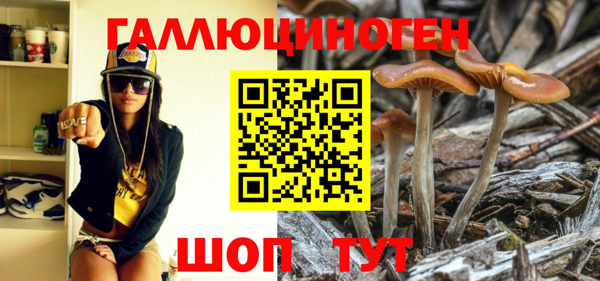 Псилоцибиновые грибы Psilocybe Вятские Поляны