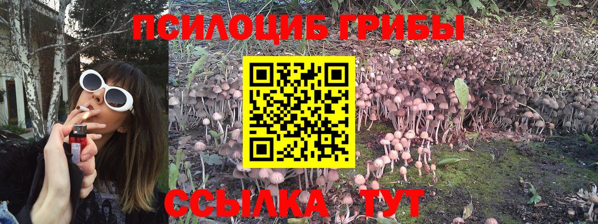 Псилоцибиновые грибы мухоморы  Вход с VPN  Вятские Поляны 